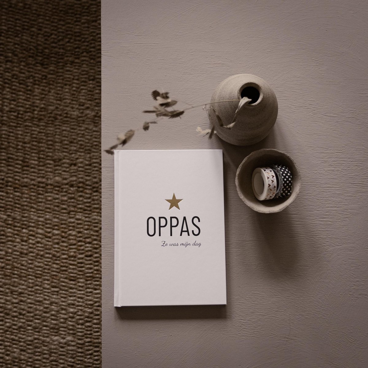 Invulboek oppas "zo was mijn dag"