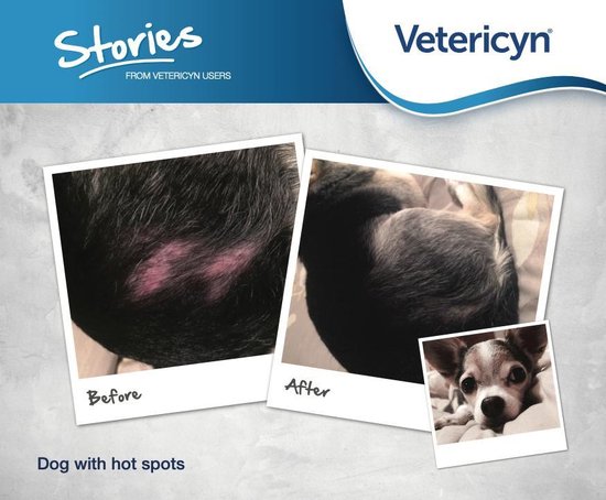 Vetericyn Plus Huisdieren Combo Sprays - 100% veilig & effectief bij wonden, jeuk, irritaties en veelvoorkomende huidproblemen. Aanbevolen door Dierenartsen. - Vetericyn