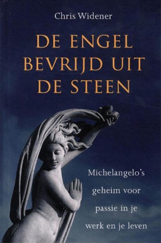 Boekomslag met standbeeld van een engel en tekst 'De engel bevrijd uit de steen'.