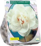 Plantenwinkel Narcissus Flower Drift bloembollen per 15 stuks