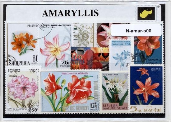 Afbeelding van het spel Amarillissen – Luxe postzegel pakket (A6 formaat) : collectie van verschillende postzegels van amarillissen – kan als ansichtkaart in een A6 envelop - authentiek cadeau - kado - geschenk - kaart - bolgewas - narcissen - narcis - amaryllis