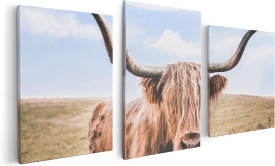 Artaza - Triptyque de peinture sur toile - Vache Highlander écossaise dans le pâturage - 120 x 60 - Photo sur toile - Impression sur toile