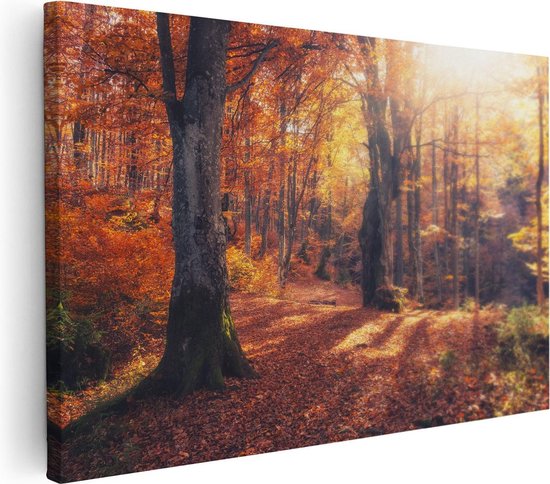 Artaza Canvas Schilderij Oranje Herfstbos Met Zonneschijn - 30x20 - Klein - Foto Op Canvas - Canvas Print