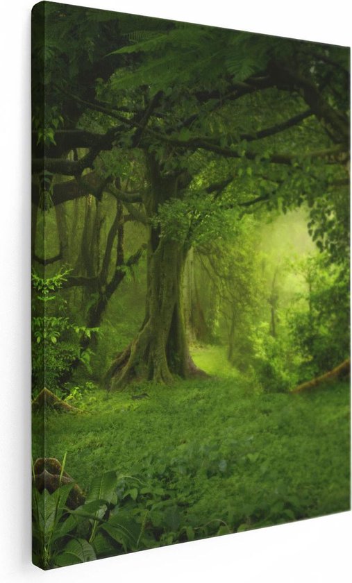 Artaza Canvas Schilderij Groene Tropische Jungle Bos  - 60x80 - Foto Op Canvas - Canvas Print