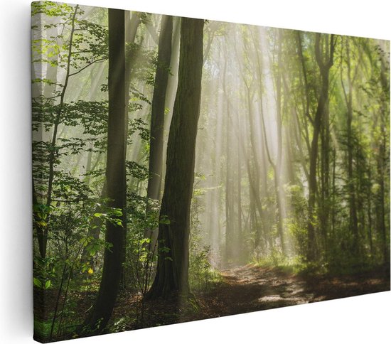 Artaza Canvas Schilderij Bos Met Bomen En Zonneschijn - 90x60 - Foto Op Canvas - Canvas Print - Muurdecoratie