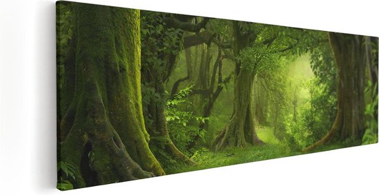 Artaza Canvas Schilderij Groene Tropische Jungle Bos  - 60x20 - Foto Op Canvas - Canvas Print
