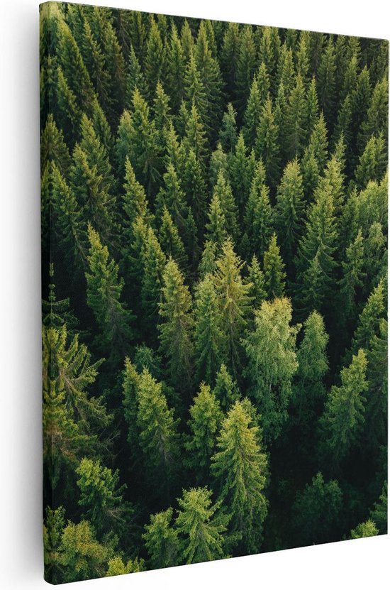 Artaza - Peinture sur toile - Forêt avec des Arbres d'en haut - 80 x 100 - Groot - Photo sur toile - Impression sur toile