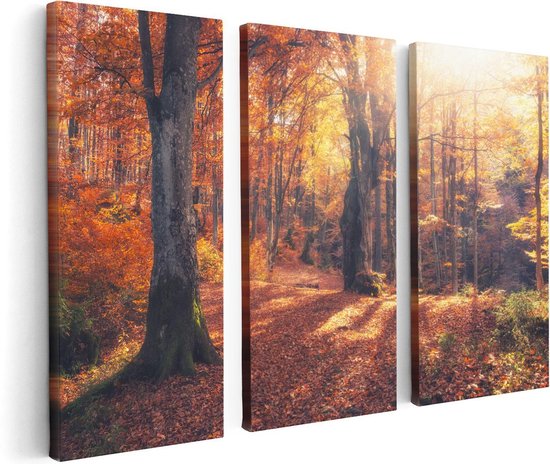Artaza - Triptyque de peinture sur toile - Forêt d'automne Oranje avec soleil - 120x80 - Photo sur toile - Impression sur toile