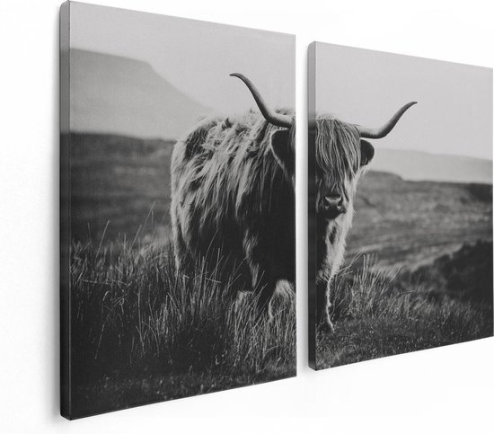 Artaza - Peinture sur toile Diptyque - Vache Highlander écossaise - Zwart Wit - 120x80 - Photo Sur Toile - Impression Sur Toile