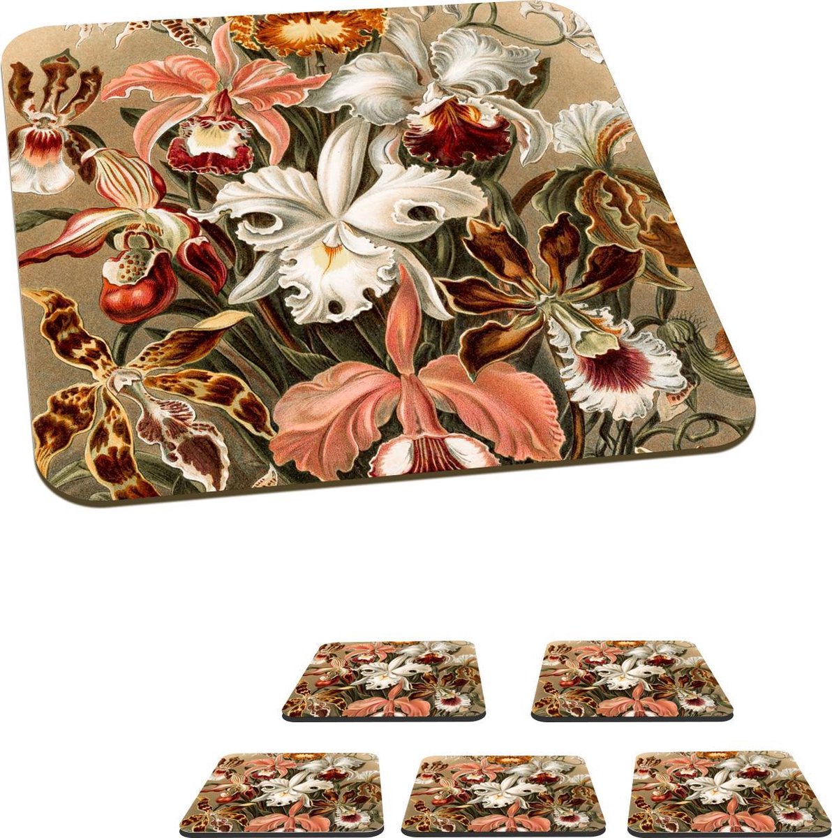 Onderzetters voor glazen - Orchidee - Ernst Haeckel - 10x10 cm - Glasonderzetters - 6 stuks