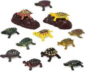 Set van Wilde Dieren 110203 Schildpad (14 Pcs)