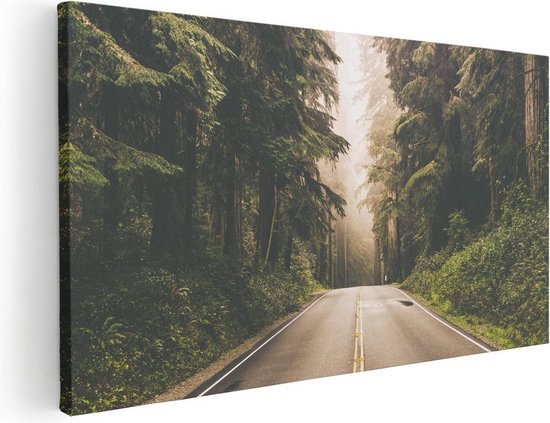 Artaza Canvas Schilderij Highway In Californië Omring Met Bos  - 40x20 - Klein - Foto Op Canvas - Canvas Print