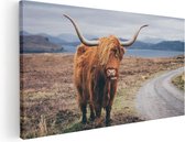 Artaza Canvas Schilderij Schotse Hooglander Koe Op De Weg - 120x60 - Groot - Foto Op Canvas - Canvas Print