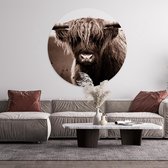 Muurcirkel Schotse hooglander - Wanddecoratie hooglander - ⌀80 - Forex