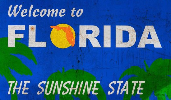 Signs-USA - Welcome in Florida - The Sunshine State - wandbord - grunge - verweerd - 65 x 38 cm