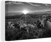 Canvas Schilderij Zonsondergang boven een kudde koeien - zwart wit - 120x80 cm - Wanddecoratie