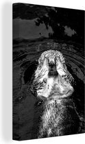 Canvas Schilderij Otter ligt in het water - zwart wit - 40x60 cm - Wanddecoratie