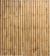 Bamboespecialist.com - Giant Jumbo 200x180 Naturel Bamboe scherm tuinscherm bamboescherm
