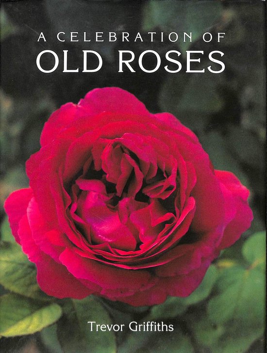 A Celebration of Old Roses - cover