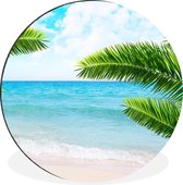 WallCircle - Wandcirkel - Muurcirkel - Tropisch - Palmboom - strand - Aluminium - Dibond - ⌀ 120 cm - Binnen en Buiten XXL