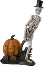 Skelet met pompoen - Halloween