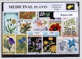 Geneeskrachtige bloemen en planten – Luxe postzegel pakket (A6 formaat) : collectie van 50 verschillende postzegels van geneeskrachtige bloemen en planten – kan als ansichtkaart in