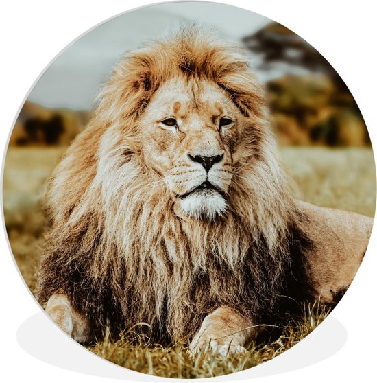 WallCircle - Wandcirkel ⌀ 120 - Dieren - Wild - Bruin - Ronde schilderijen woonkamer - Wandbord rond - Muurdecoratie cirkel - Kamer decoratie binnen - Wanddecoratie muurcirkel - Woonaccessoires XXL