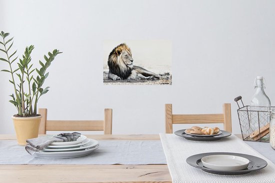 Stickers muraux - Illustration - Lions - Couleur - 30x20 cm - Feuille adhésive