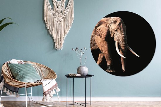 Cercle mural - Plastique - Éléphant - Dents - Animaux - ⌀ 140 cm