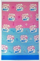 Boy en girl uitdeelzakjes - 12 stuks 16,5 cm x 25 cm - Babyshower - Onthulling geslacht - Gender reveal