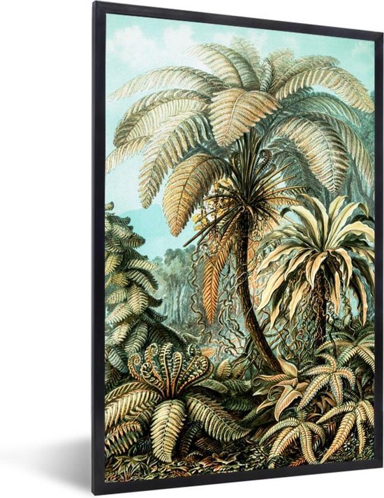 Fotolijst incl. Poster - Palmboom - Ernst Haeckel - 60x90 cm - Posterlijst