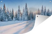 Tuindecoratie Bos - Sneeuw - Winter - 60x40 cm - Tuinposter - Tuindoek - Buitenposter