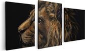 Artaza Canvas Schilderij Drieluik Getekende Leeuw - Leeuwenkop - Kleur - 120x60 - Foto Op Canvas - Canvas Print