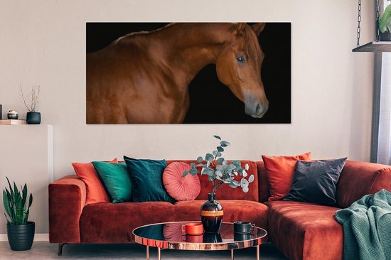 Tableau Toile Cheval - Oeil - Marron - 160x80 cm - Décoration murale