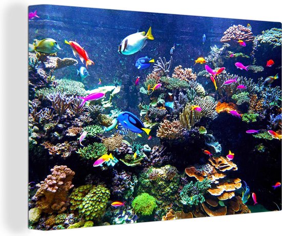 Foto: Canvas schilderij 140x90 cm wanddecoratie koraal vis aquarium muurdecoratie woonkamer slaapkamer decoratie kamer accessoires schilderijen