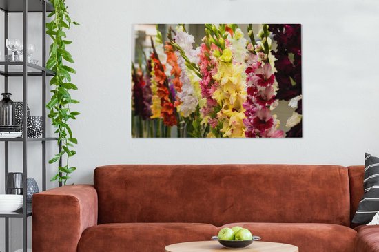 Impression sur Toile Glaïeul - Fleurs - Couleurs - 140x90 cm - Décoration murale