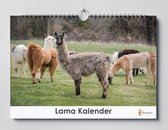 Idée cadeau| Calendrier Lama 35x24 cm | Calendrier des Lama 2021 |calendrier de Lama| Calendrier 35 x 24 cm