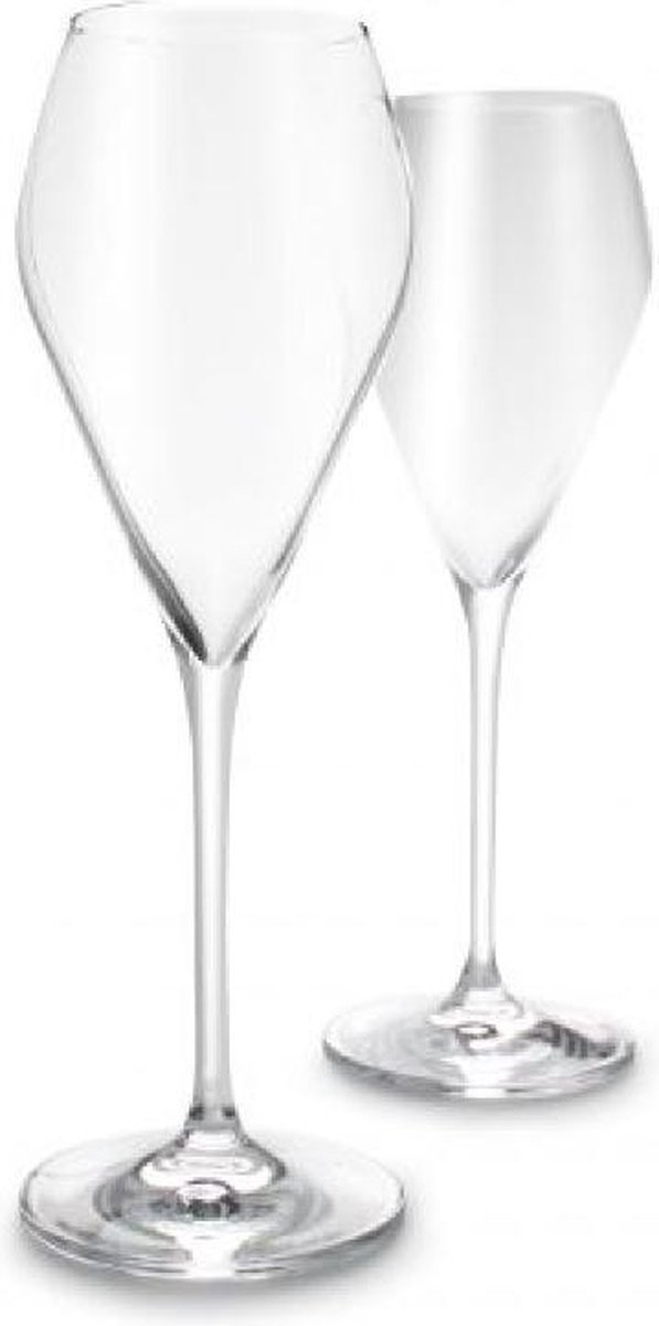 Cuvee Prosecco Glasses 230mL - Set of 6 – salt&pepper