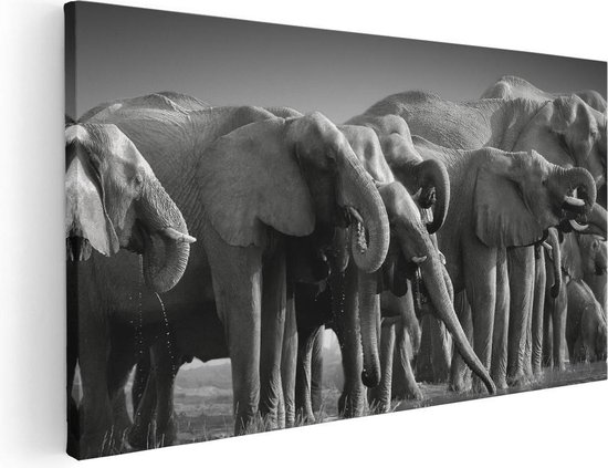 Artaza Canvas Schilderij Groep Olifanten Bij Het Water - Zwart Wit - 40x20 - Klein - Foto Op Canvas - Canvas Print