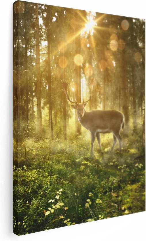 Artaza Canvas Schilderij Hert In Bos Met Zon - 30x40 - Klein - Foto Op Canvas - Canvas Print