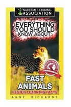 Everything You Should Know About