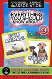 Everything You Should Know About