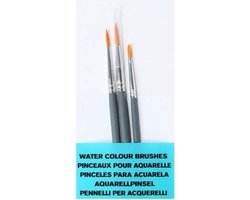 Winsor & Newton Foundation Aquarel Penselen Set 4
