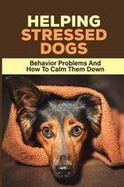 Helping Stressed Dogs: Behavior Problems And How To Calm Them Down