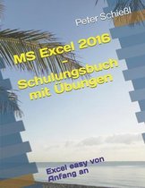 MS Excel 2016 - Schulungsbuch mit �bungen