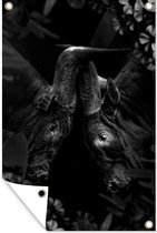 Muurdecoratie Watussi runderen in de jungle - zwart wit - 120x180 cm - Tuinposter - Tuindoek - Buitenposter