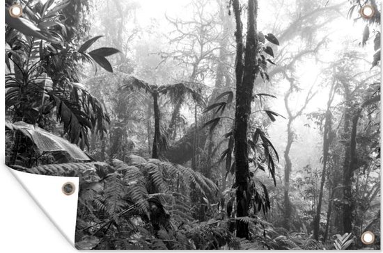 Mistig regenwoud in Costa Rica - zwart wit - Tuindoek