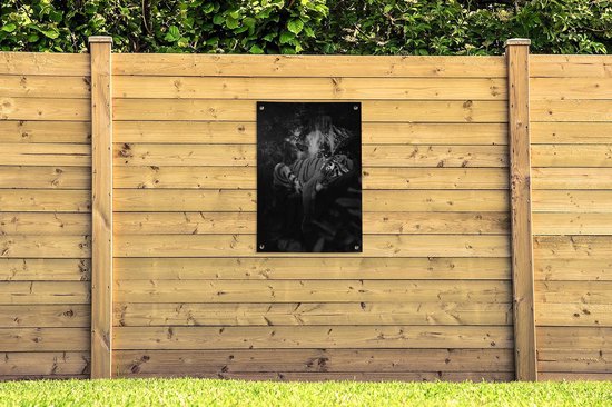 Posters de jardin Tigre et papillons dans la jungle - noir et blanc - 60x90 cm - Toile jardin