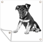Tuindoek Zittende Duitse herder pup - zwart wit - 100x100 cm