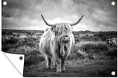 Affiche jardin - Toile Posters de jardin extérieur - Highlander écossais - Animaux - Nuages - Vache - Nature - 120x80 cm - Jardin
